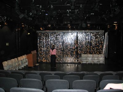 FIII Fraeulein Julie.jpg